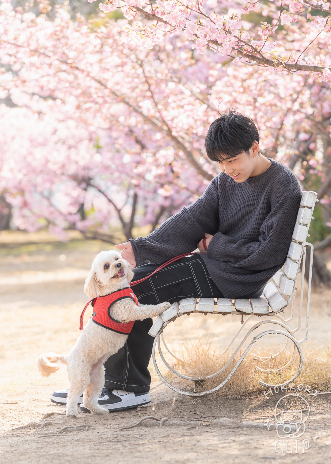 ペット写真（写真提供：ほっこりCLIP）