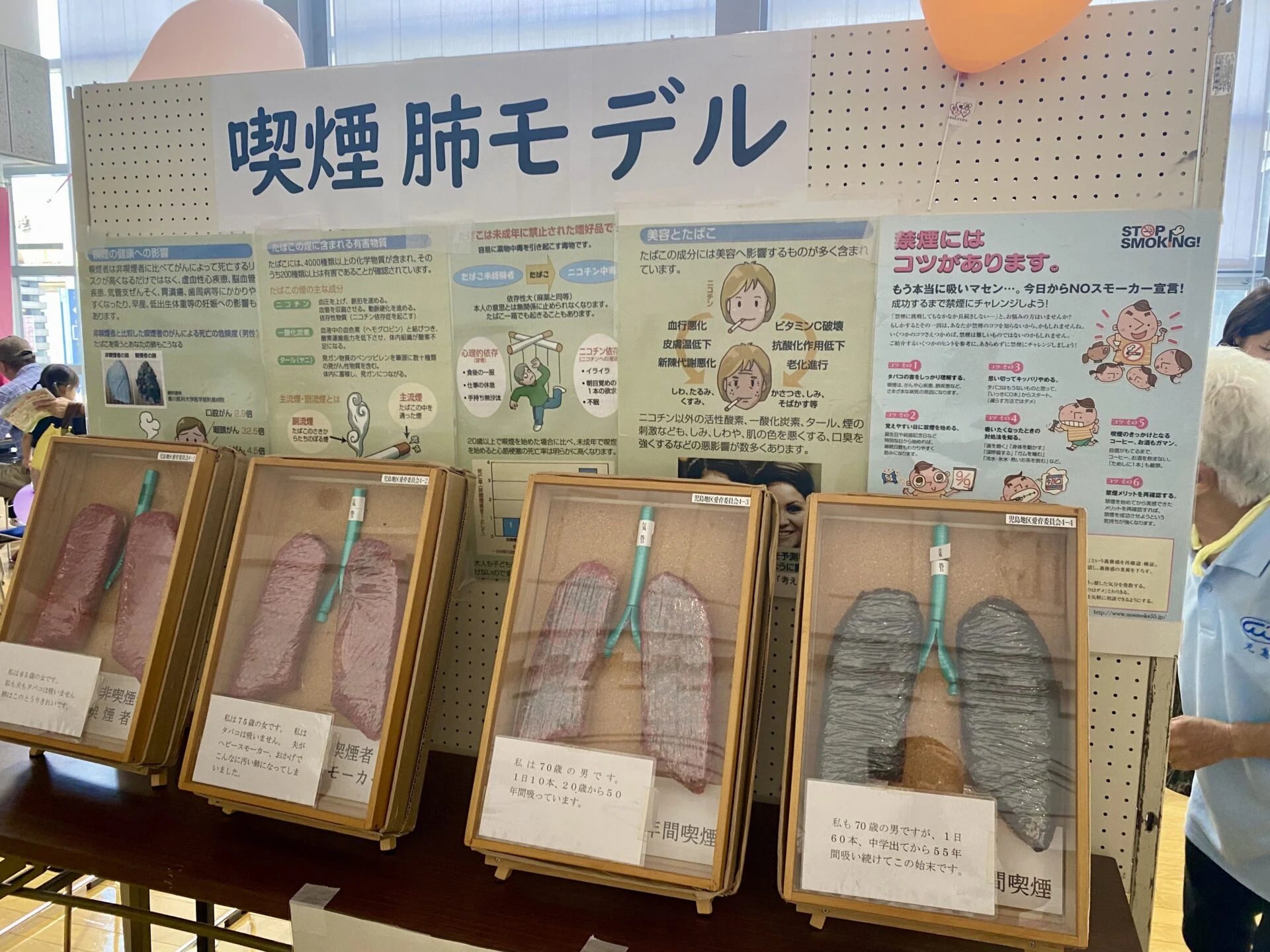 喫煙肺モデル