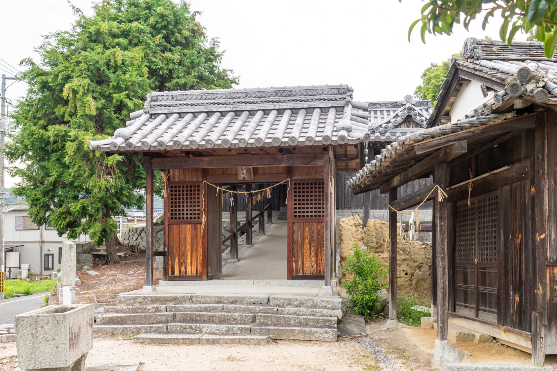 鯉喰神社