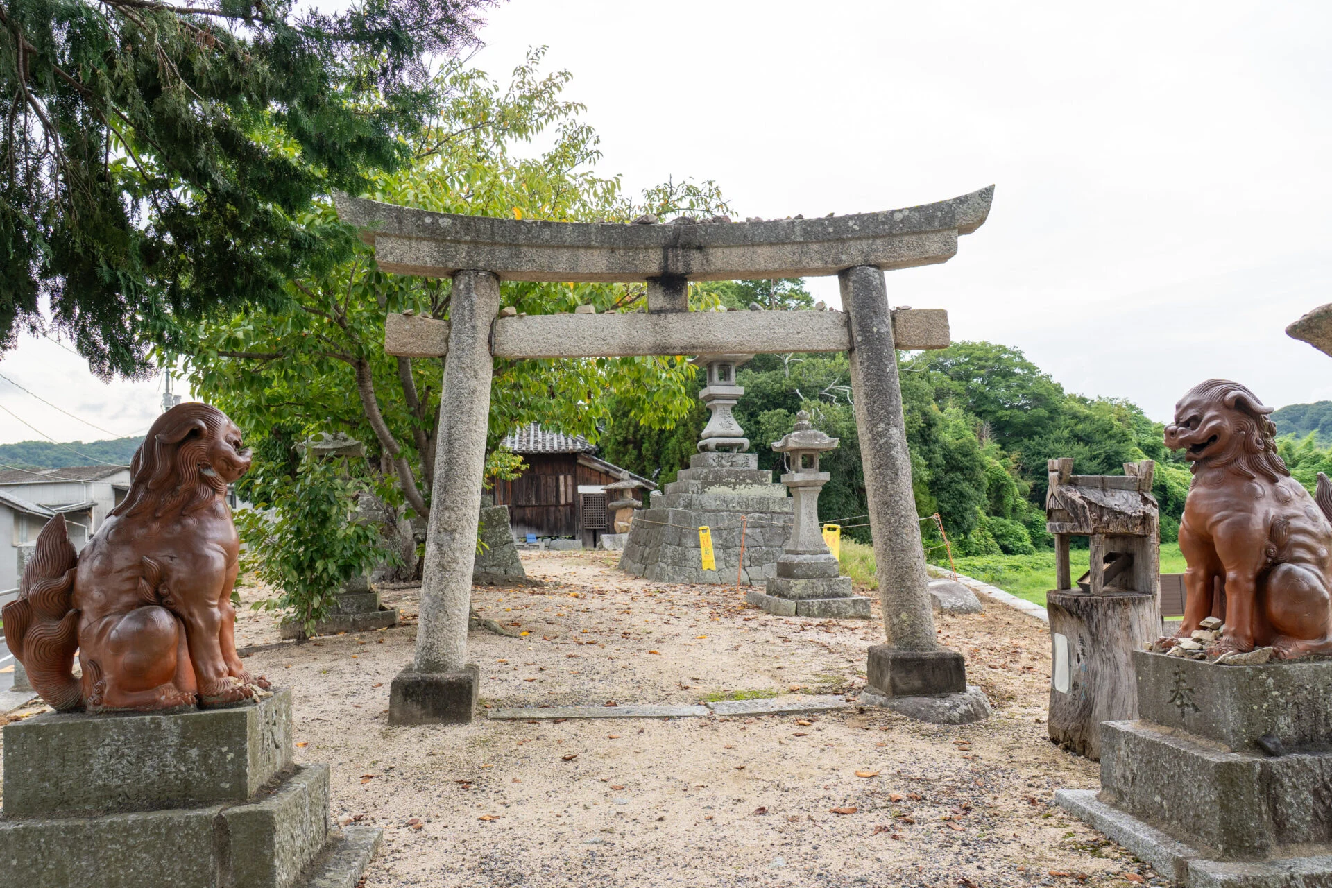 鯉喰神社の狛犬