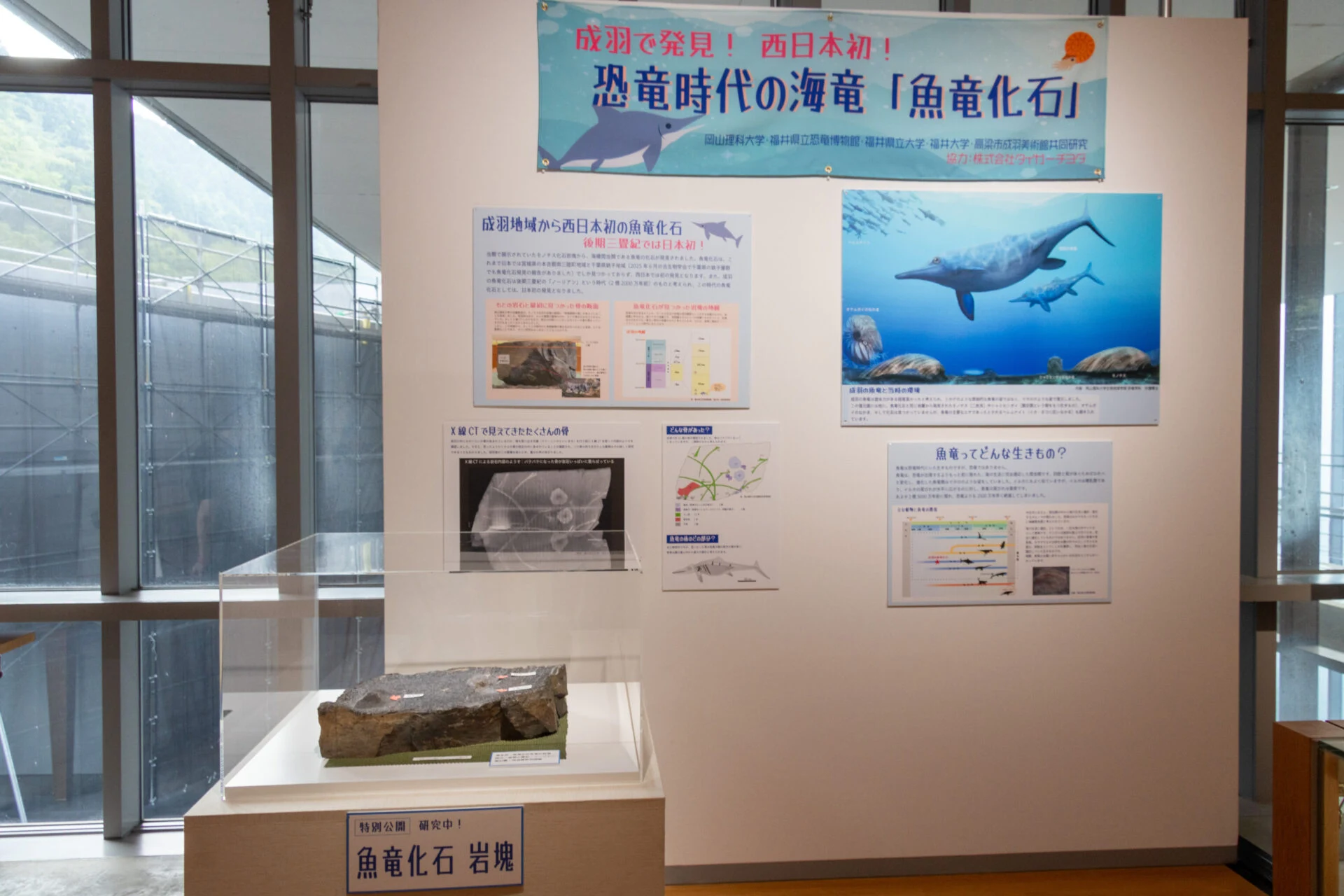 特別展示コーナーのようす