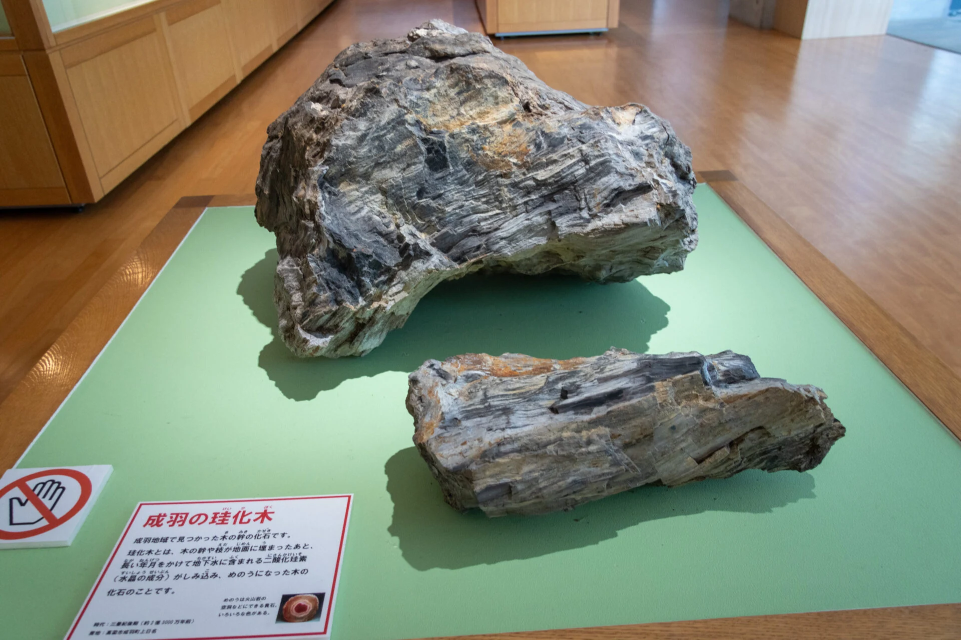 近隣で発掘された化石のひとつ「成羽の珪化木(けいかぼく)」