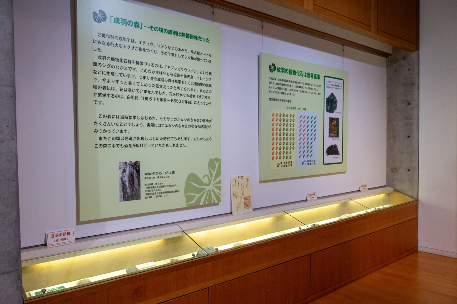 成羽の植物化石についてのパネル展示