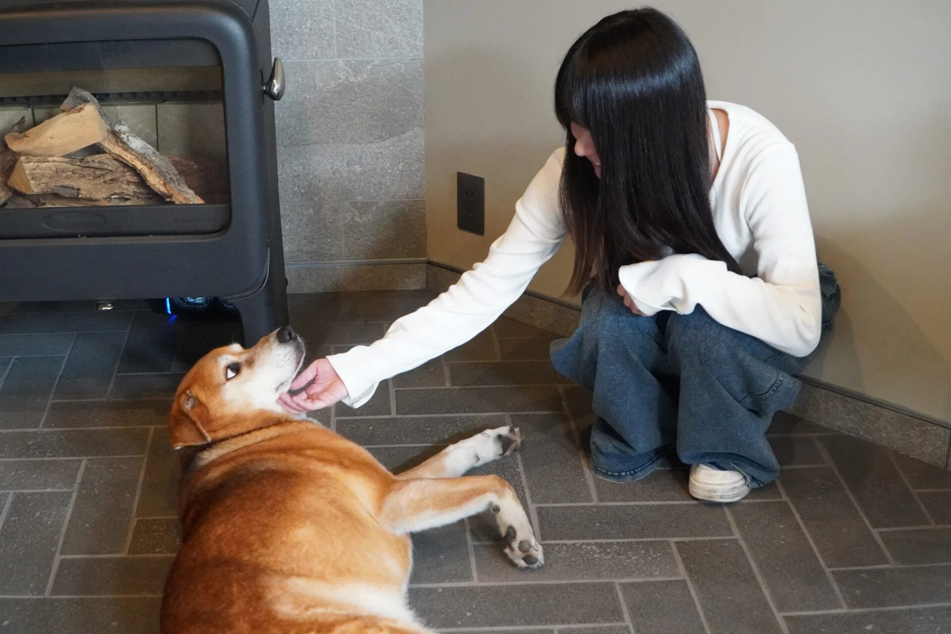 休憩中_君のしっぽ