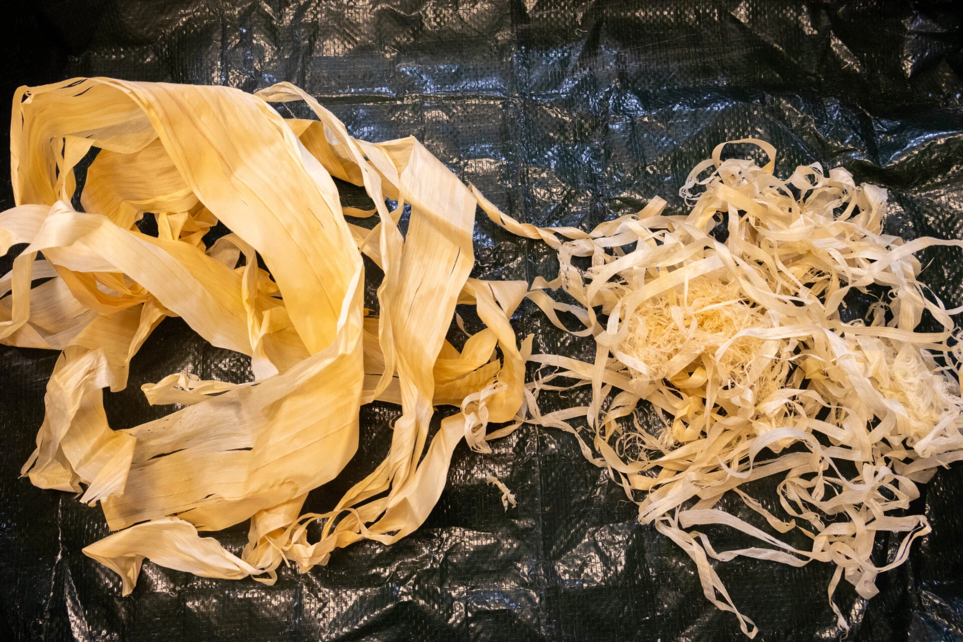 ひのきのかんなくず