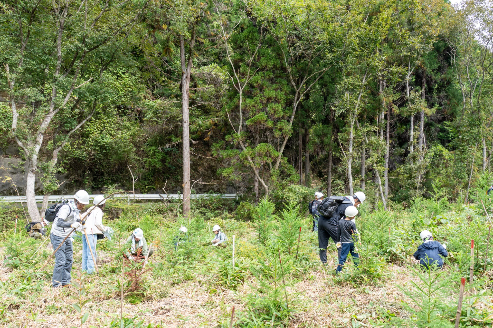 それぞれの場所に散らばります