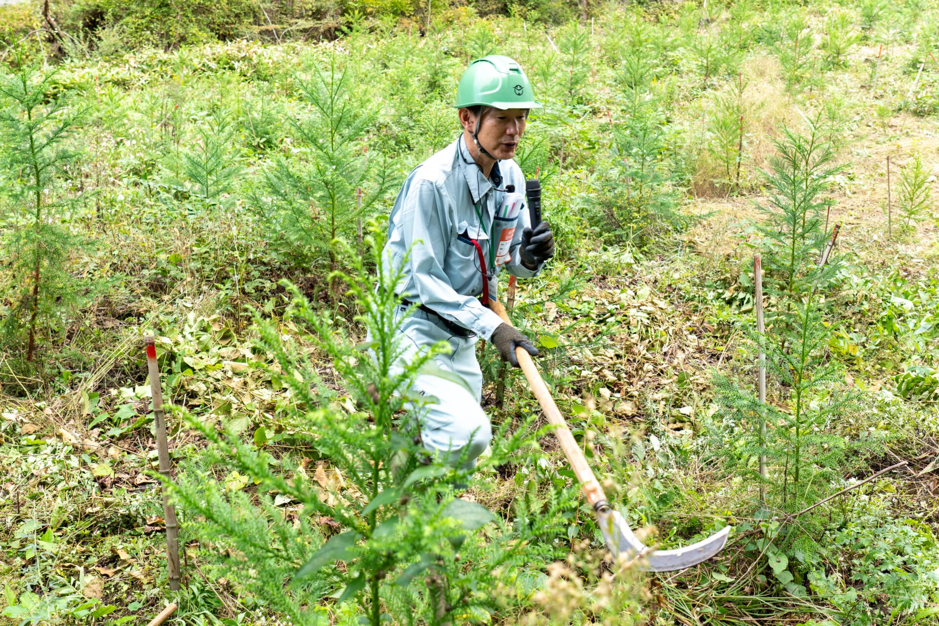 大鎌をつかうようす