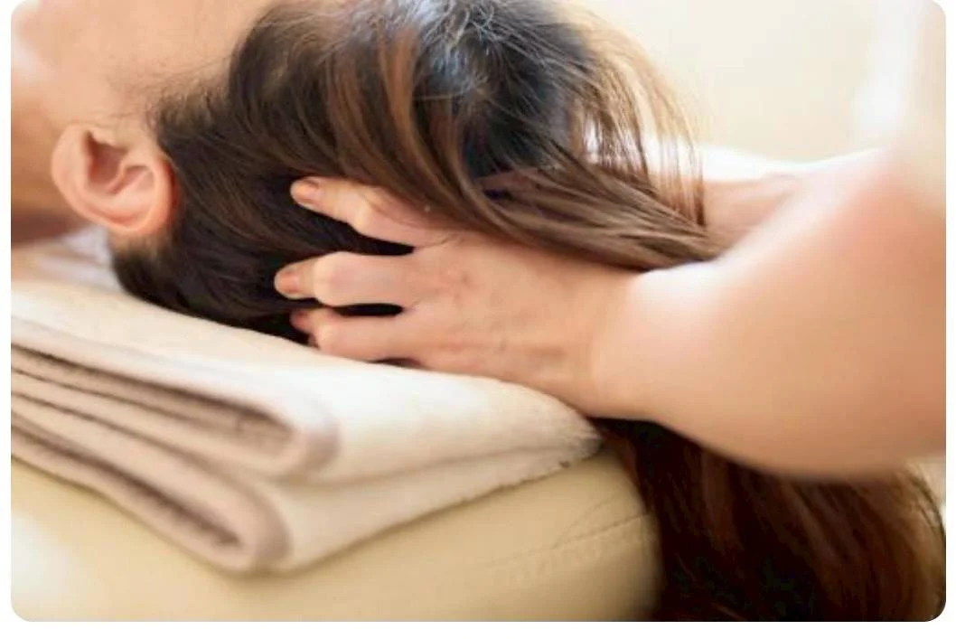 画像提供：芽生えマルシェ運営委員会