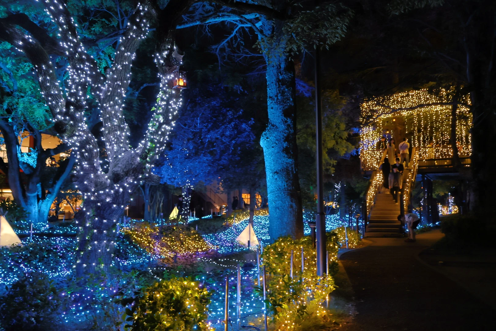 デッキのなかへ