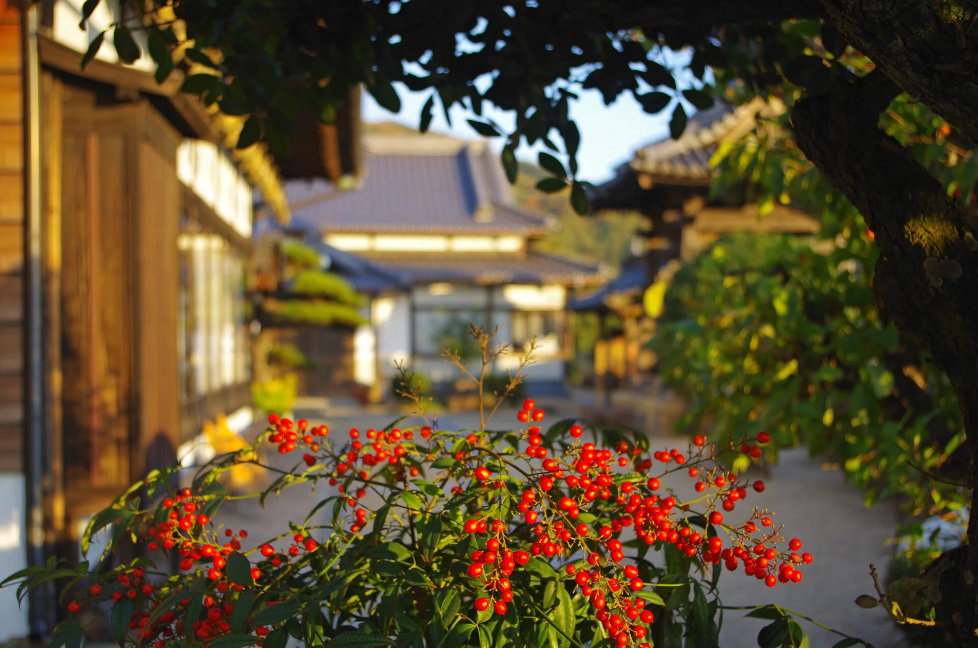 客殿と鐘楼を望む