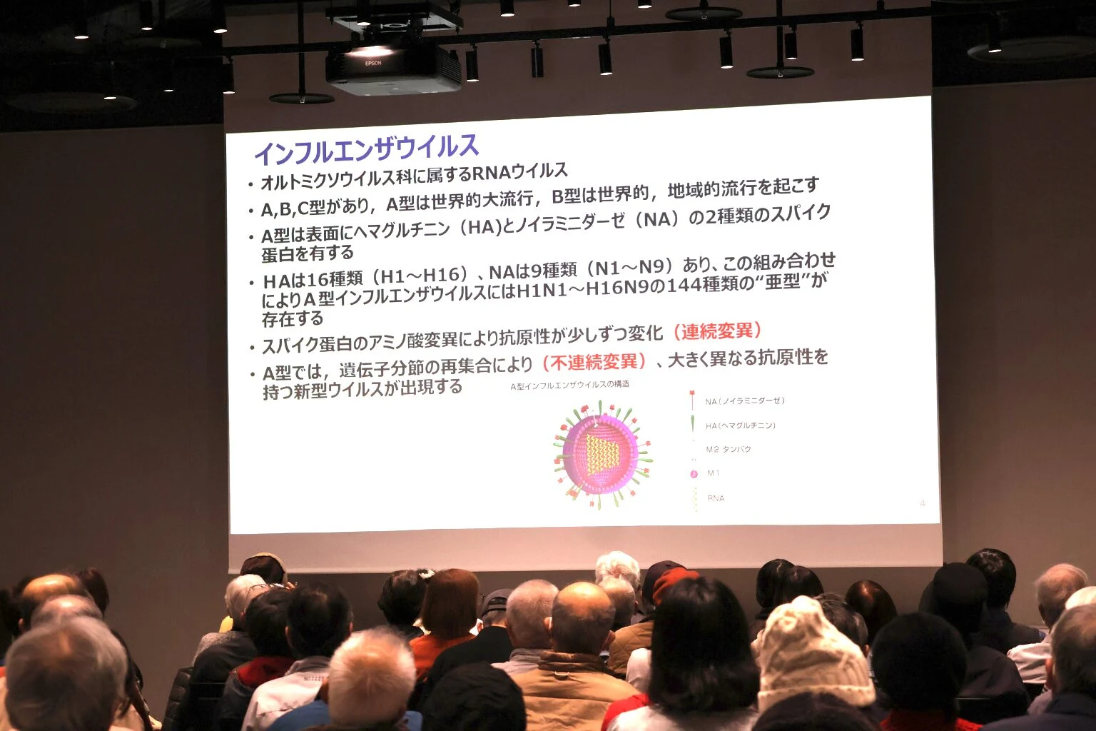 インフルエンザウイルス