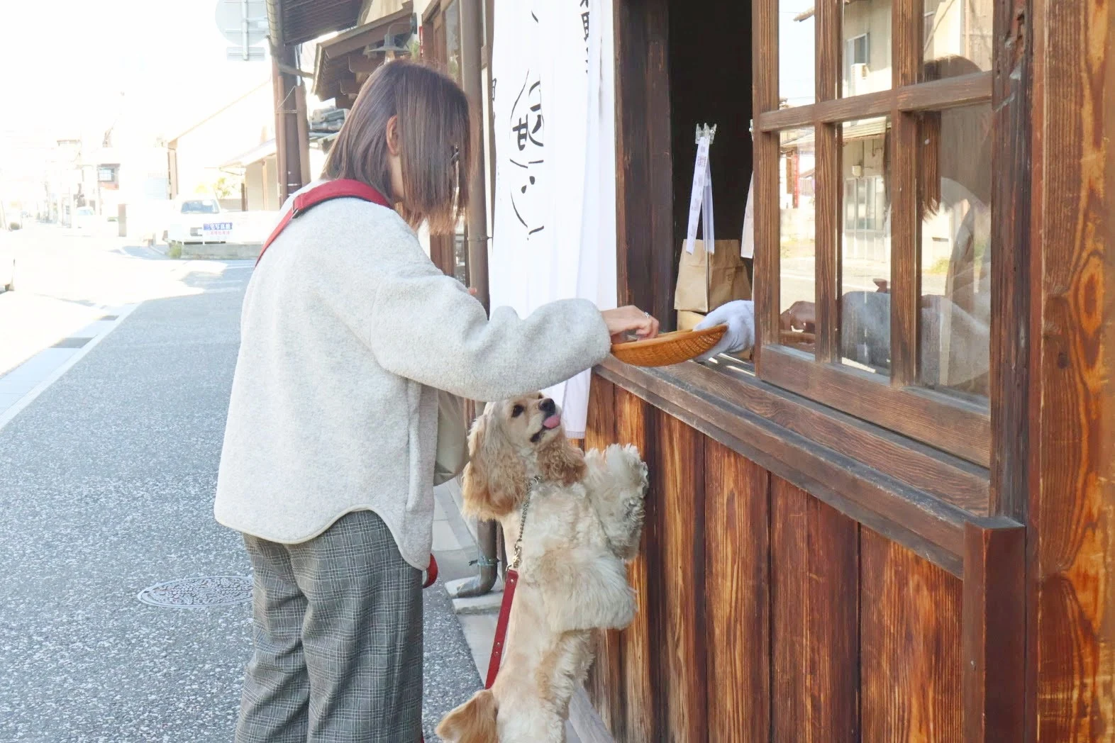 犬の散歩中に栗を買う人