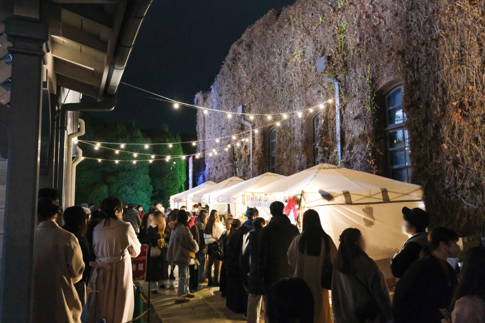 アイビー学館からメタセコイアまでの通路