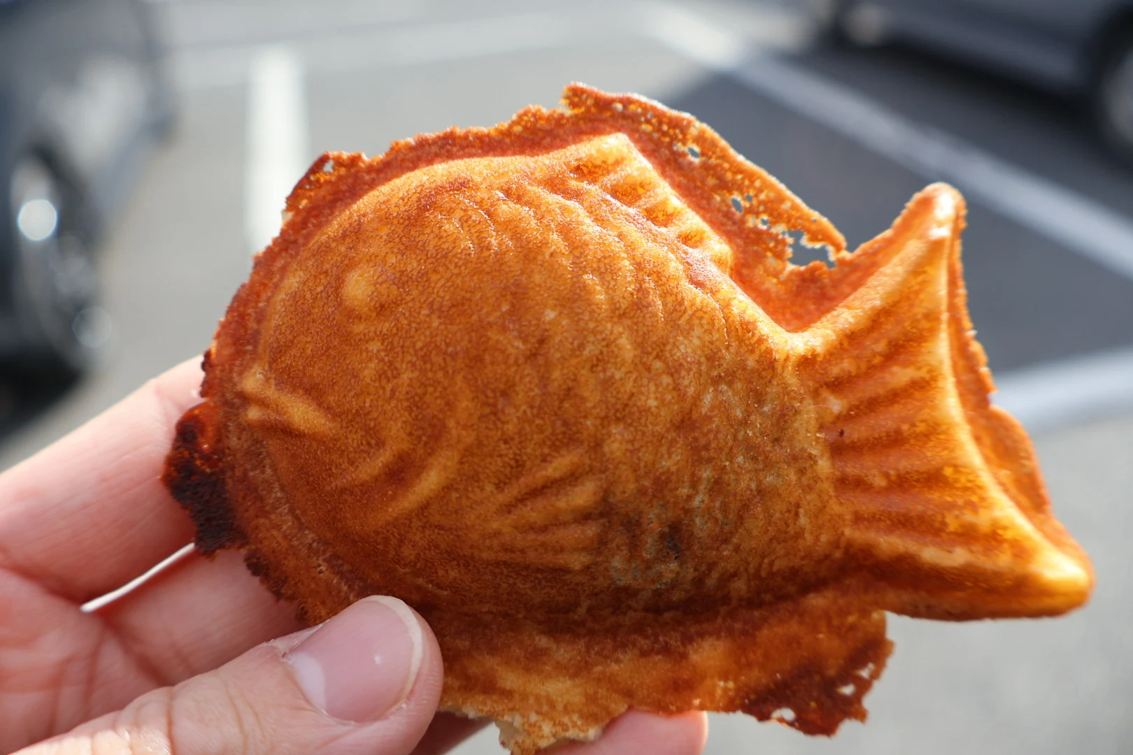 購入したたい焼き