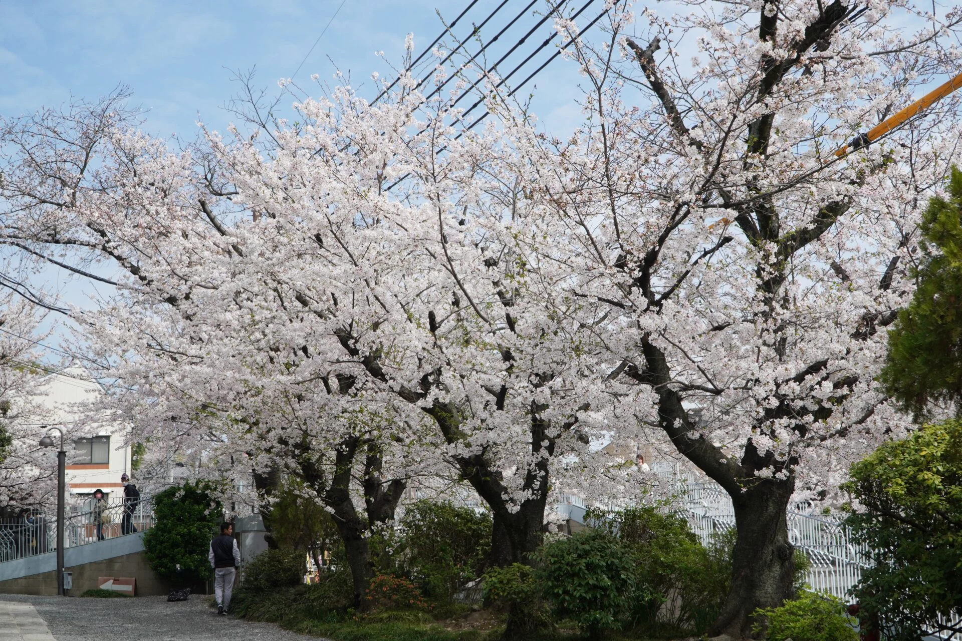 倉敷アイビースクエア