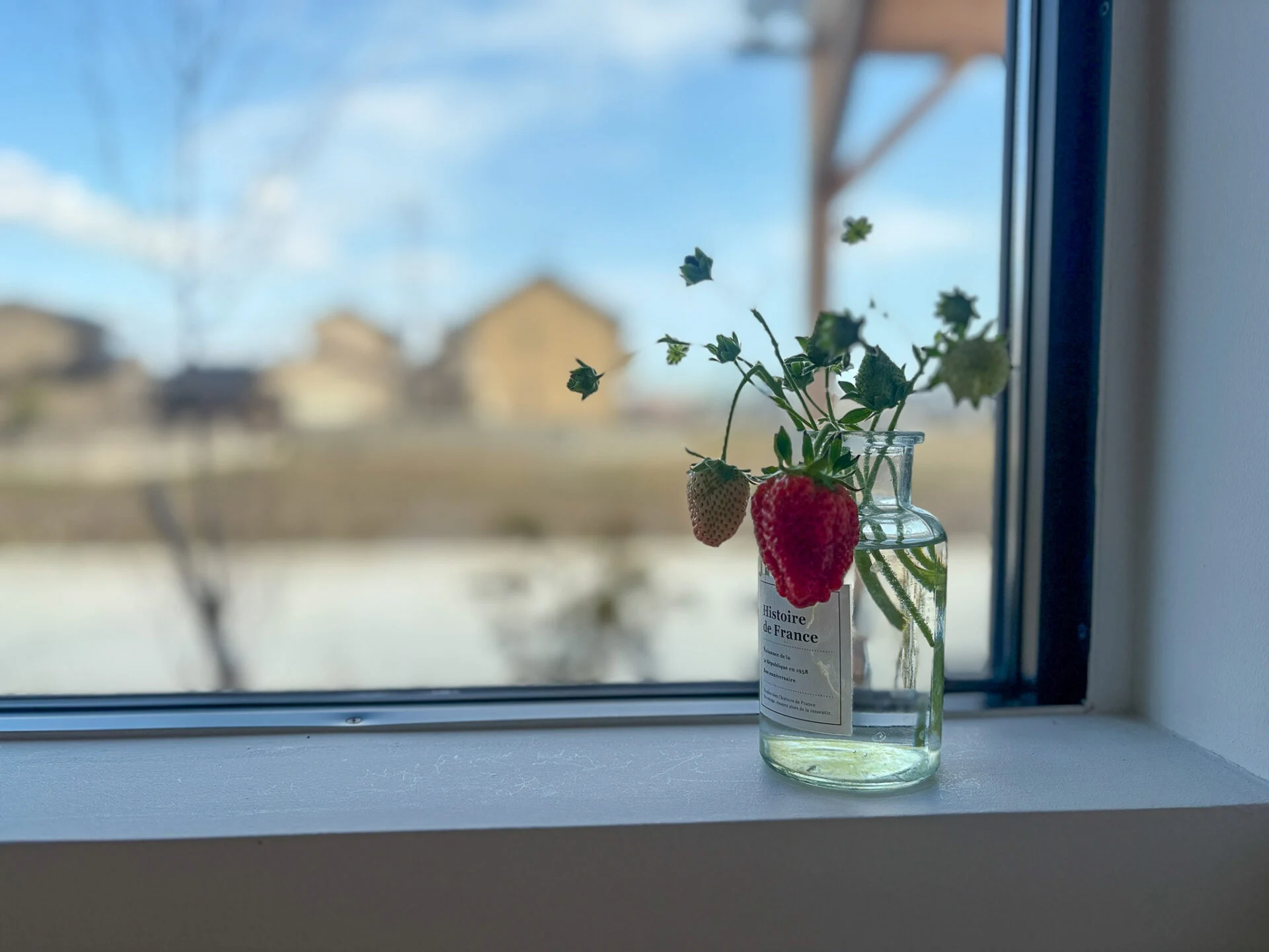 イチゴも飾りに