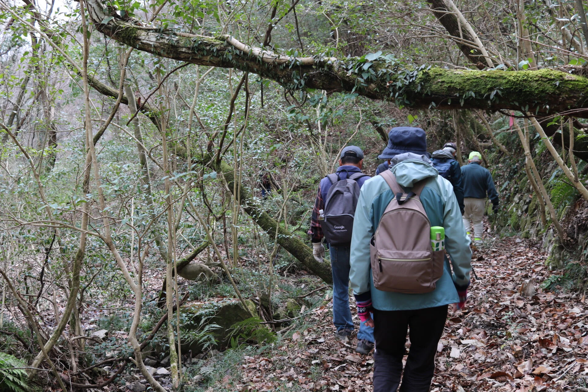 宇内地区から毛野地区への新たなルート
