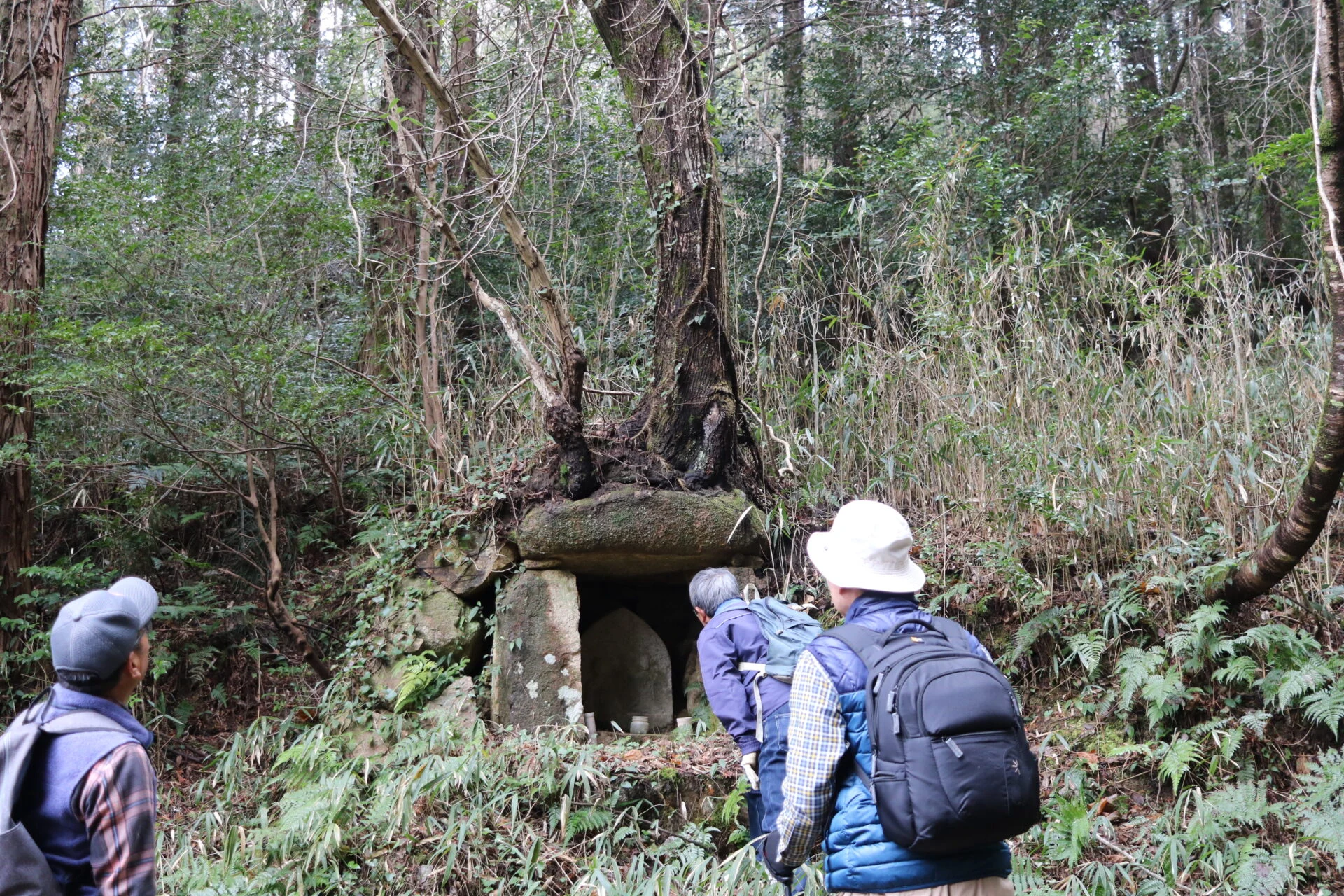 とと道を歩いてみよう