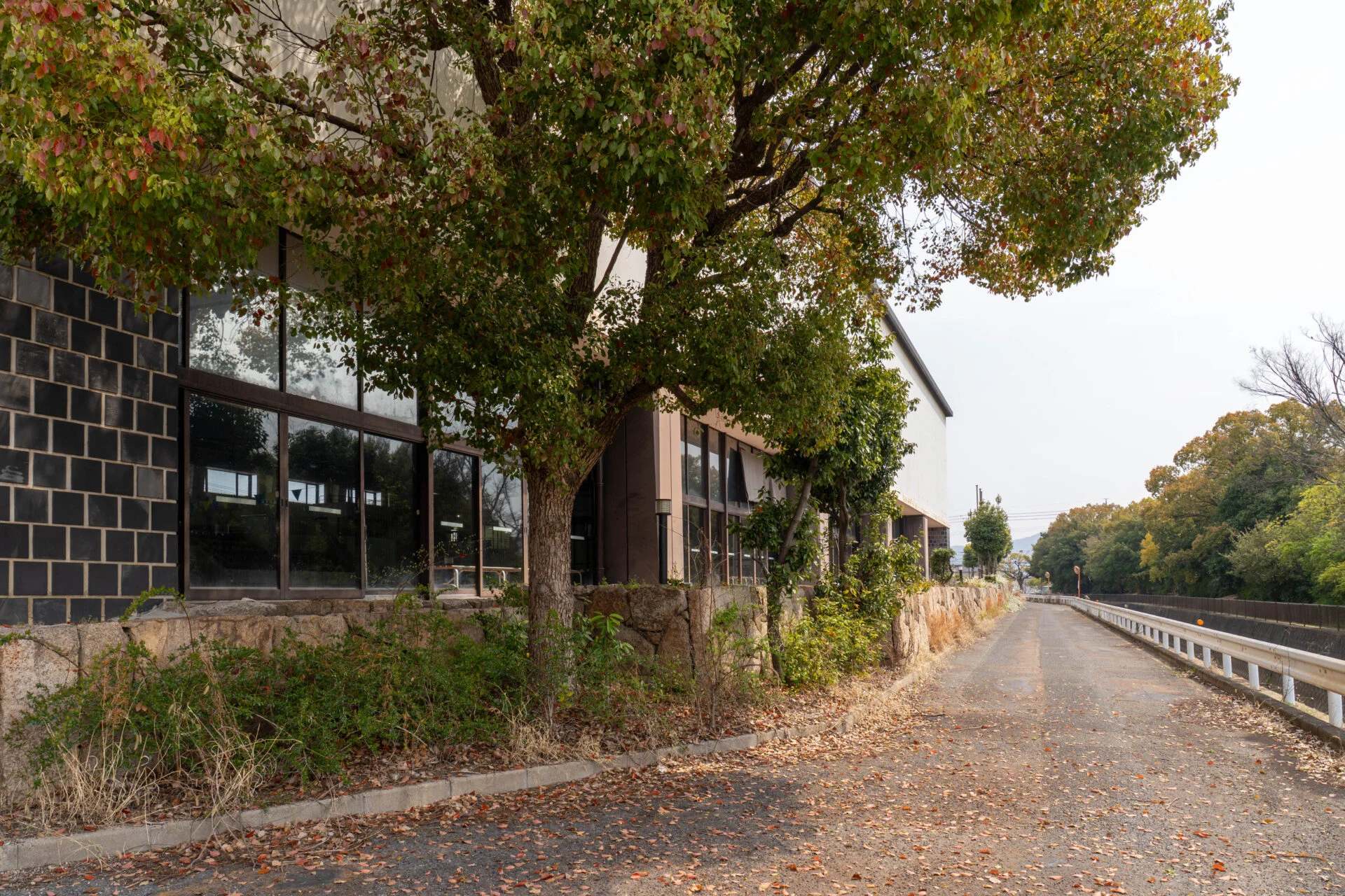 倉敷市屋内水泳センター 西側2