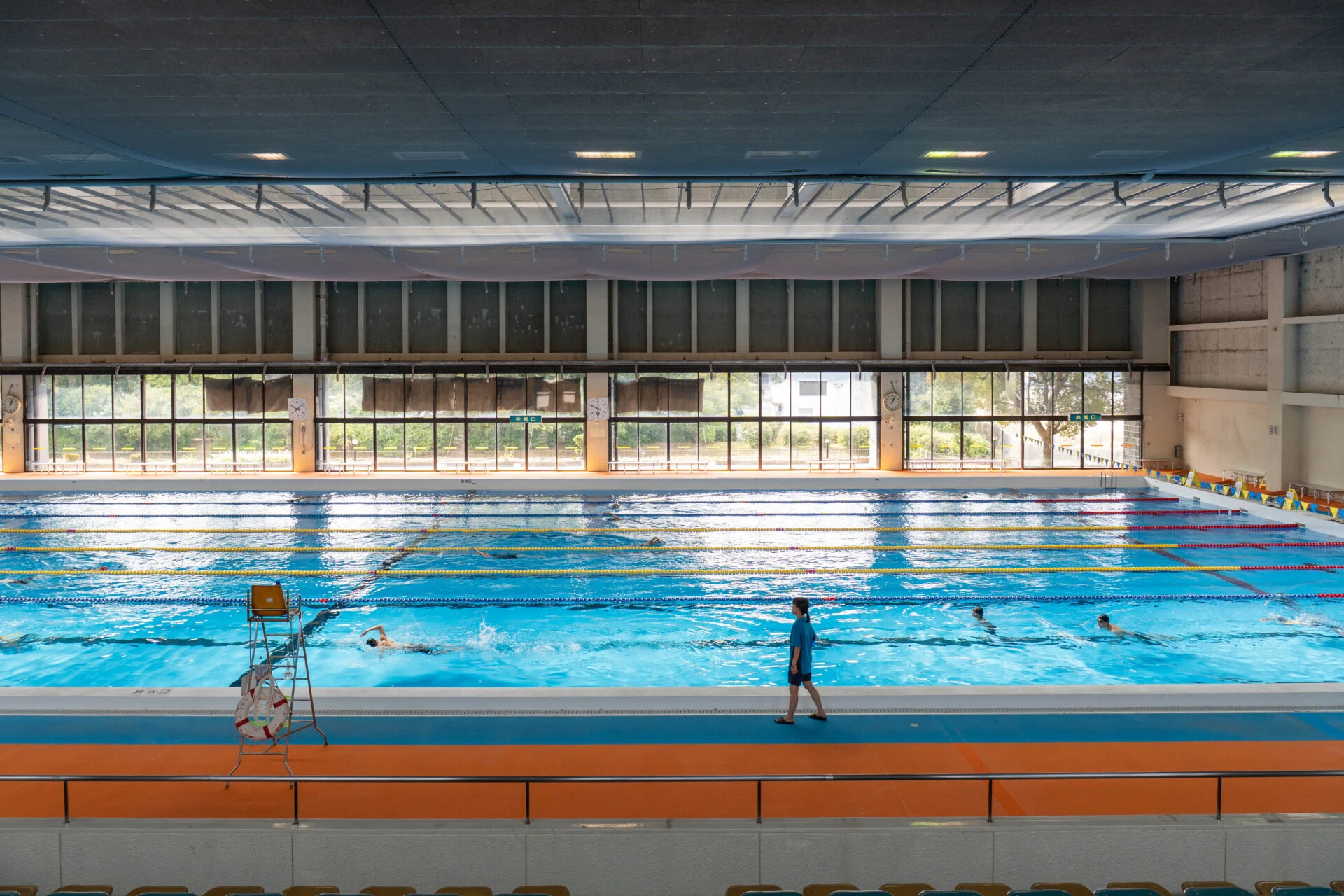 50mプールの中間地点