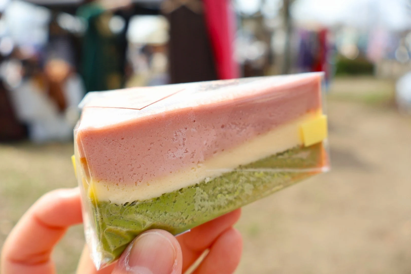 チーズケーキ「春爛漫」