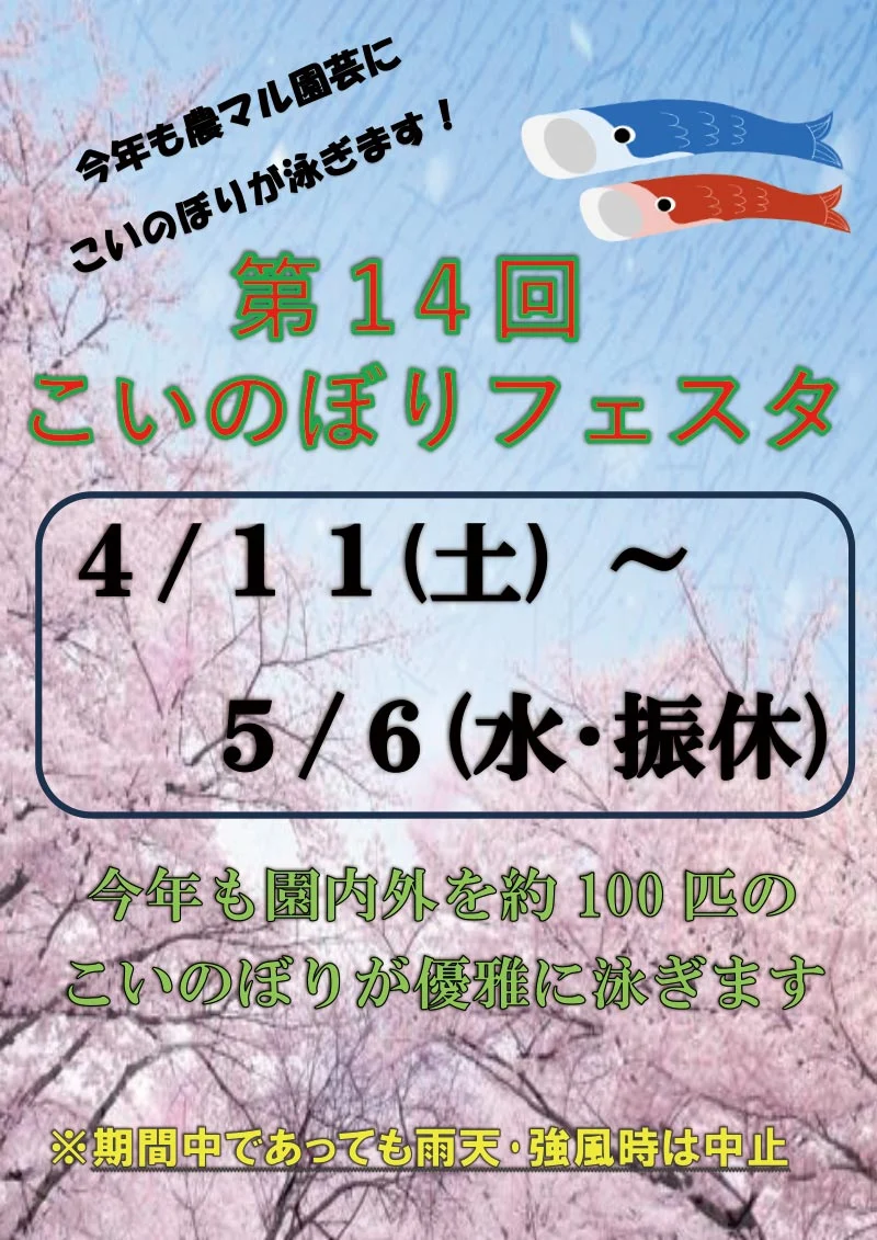 こいのぼりフェスタチラシ