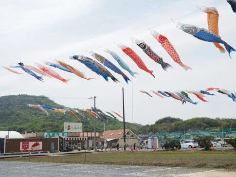 こいのぼりフェスタ2026-農マル園芸とこいのぼり-こばん