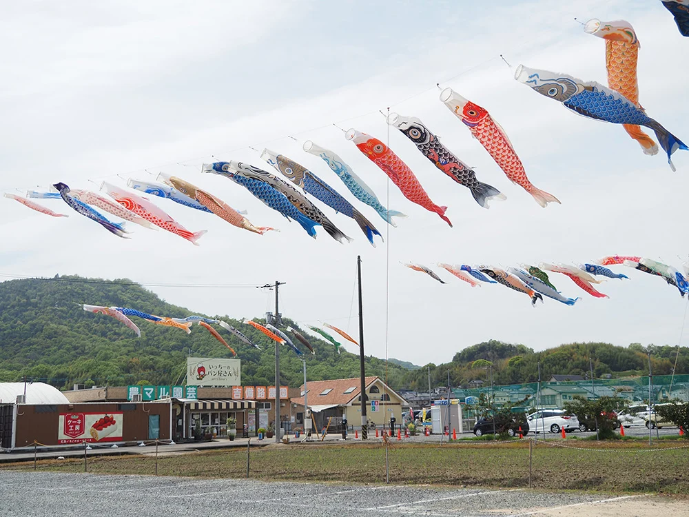 こいのぼりフェスタ2026-農マル園芸とこいのぼり-こばん