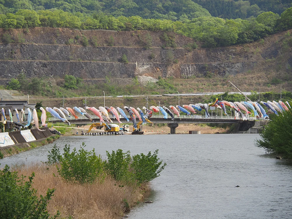 小田川横断こいのぼり2026-こばん-橋から