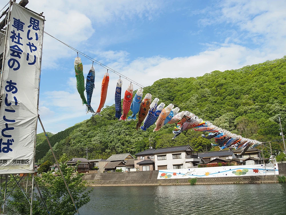 小田川横断こいのぼり2026-こばん-俯瞰