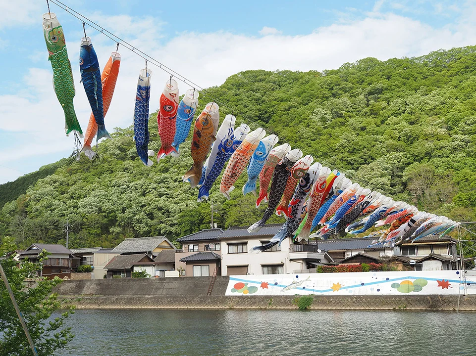 小田川横断こいのぼり2026-こばん-俯瞰