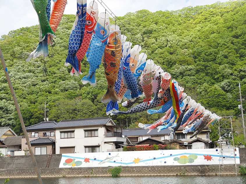 小田川横断こいのぼり2026-こばん-寄り