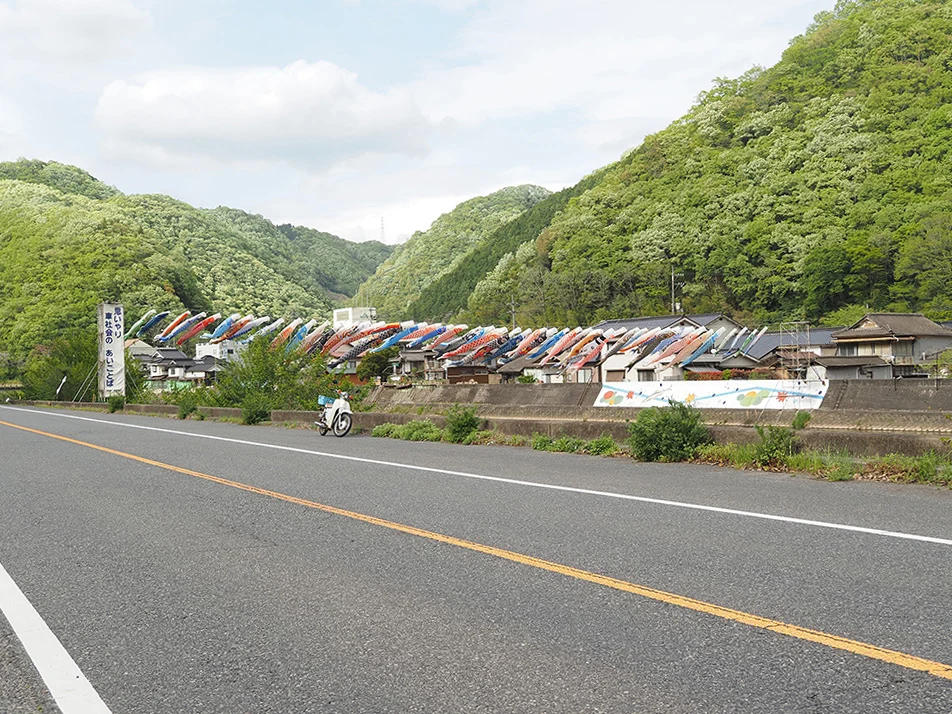 小田川横断こいのぼり2026-こばん-ポケット