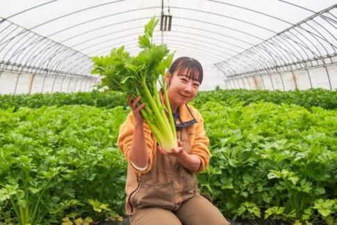 メゾンやまて　高越友紀（たかごし ゆき）さん