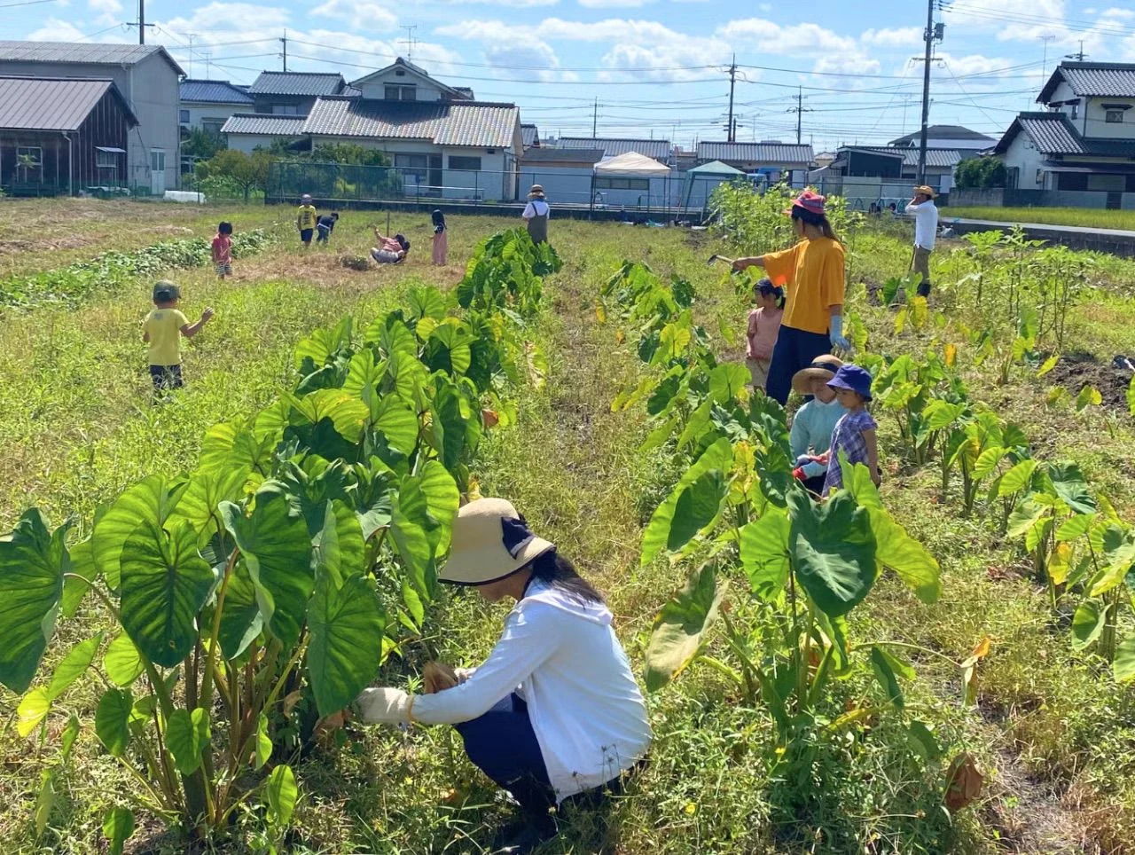 画像提供：竹林のスコレー