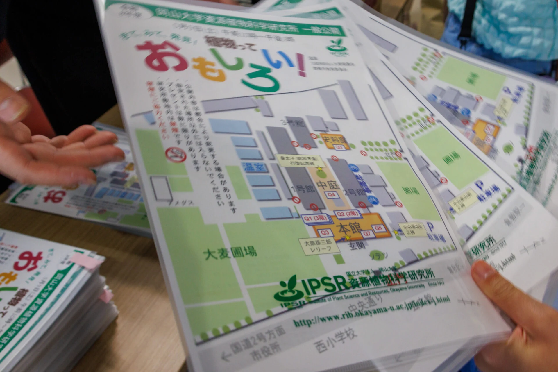 入口で館内の案内図やクイズラリーの解答用紙をもらいます