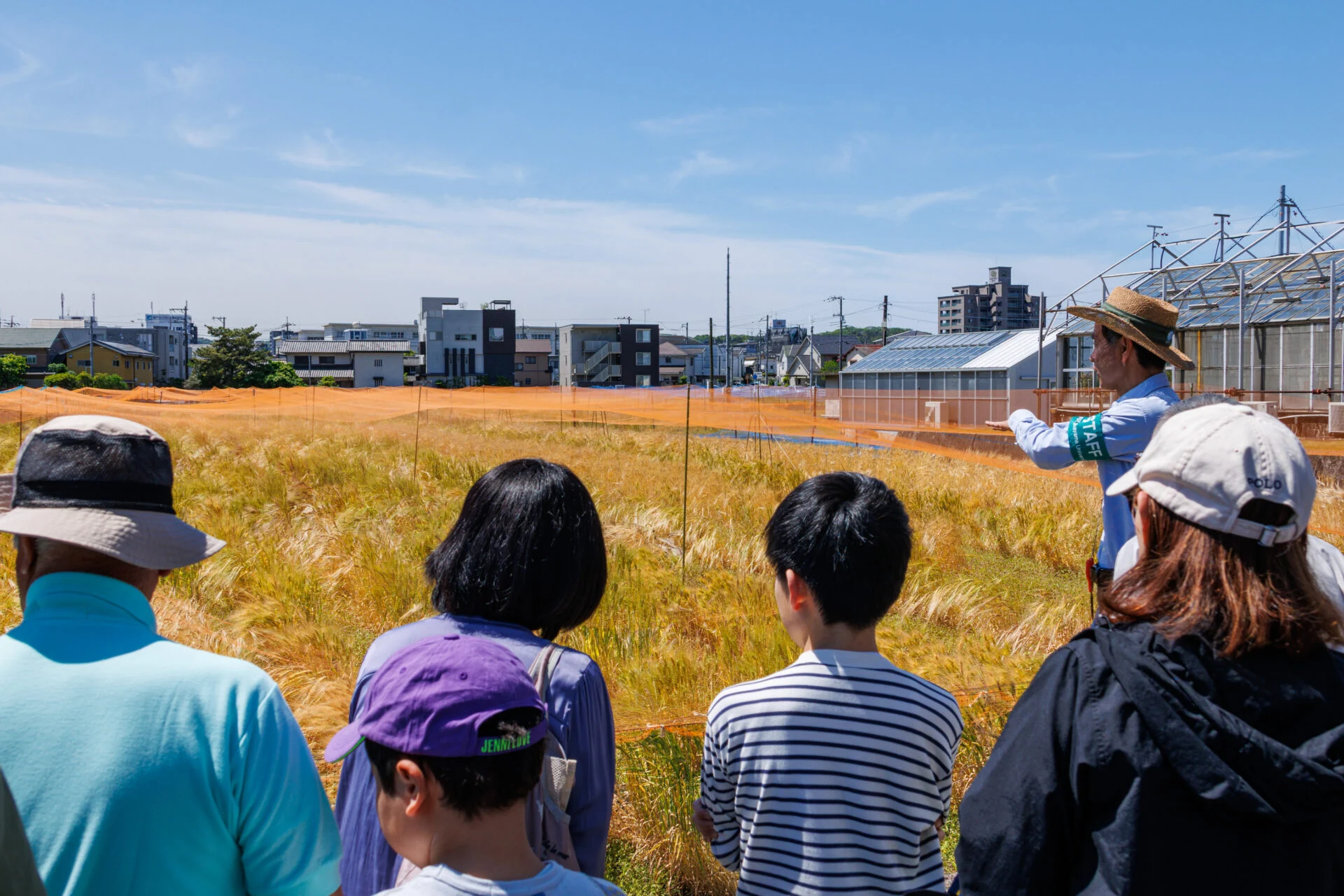 スタッフの説明のもと、圃場を見学