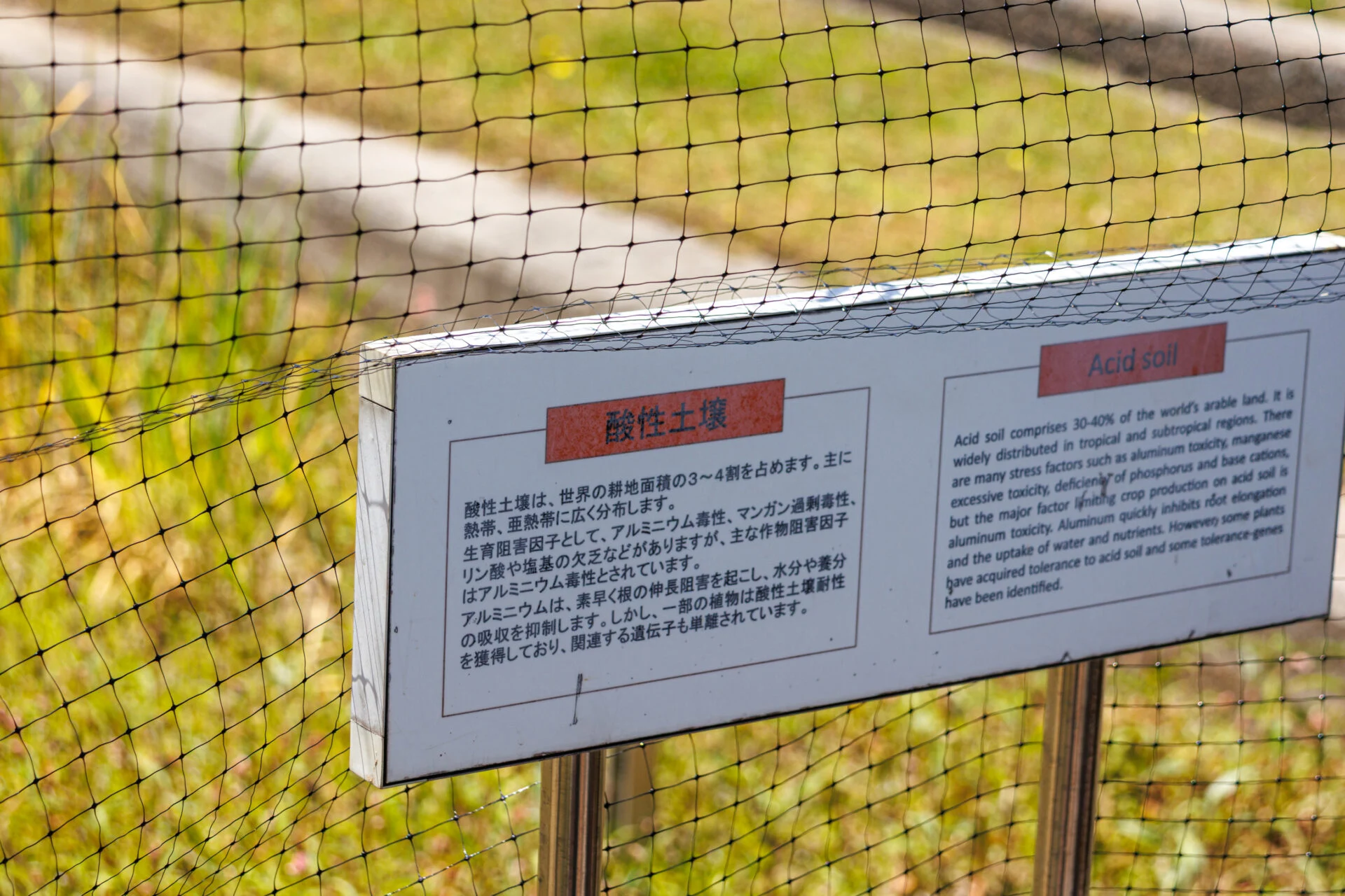 酸性土壌を再現した区画