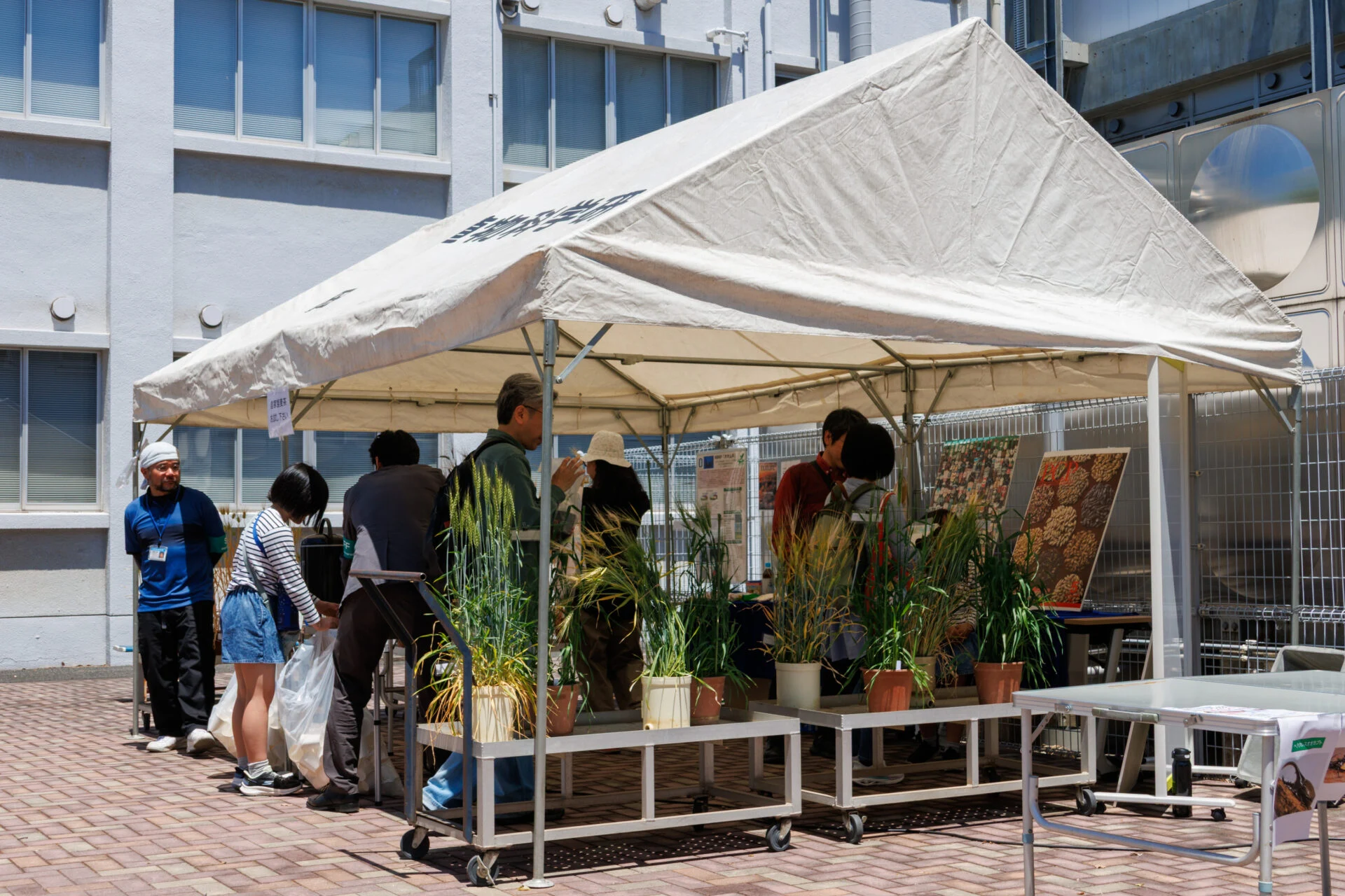 中庭での展示風景