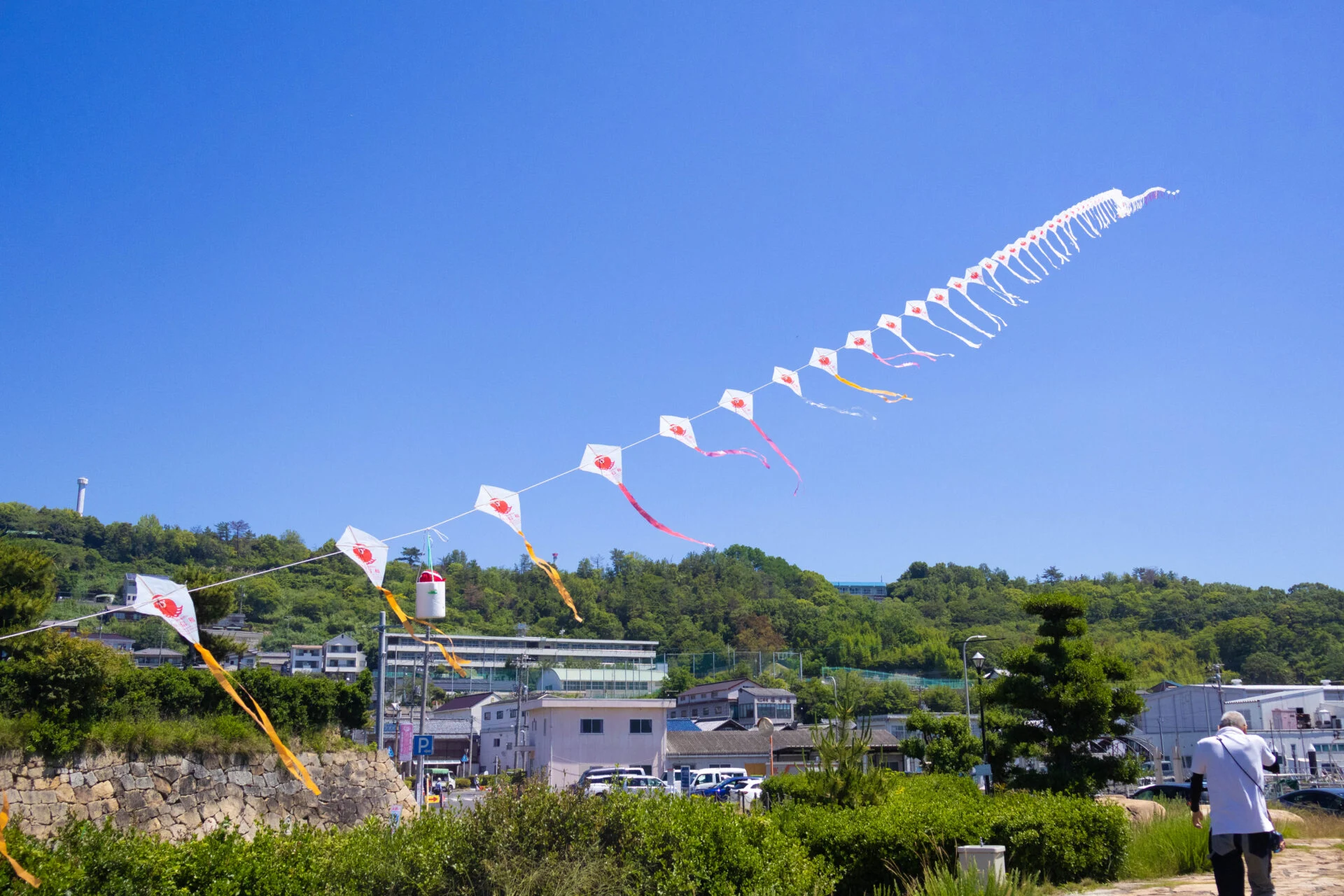 青空に浮かぶ連凧