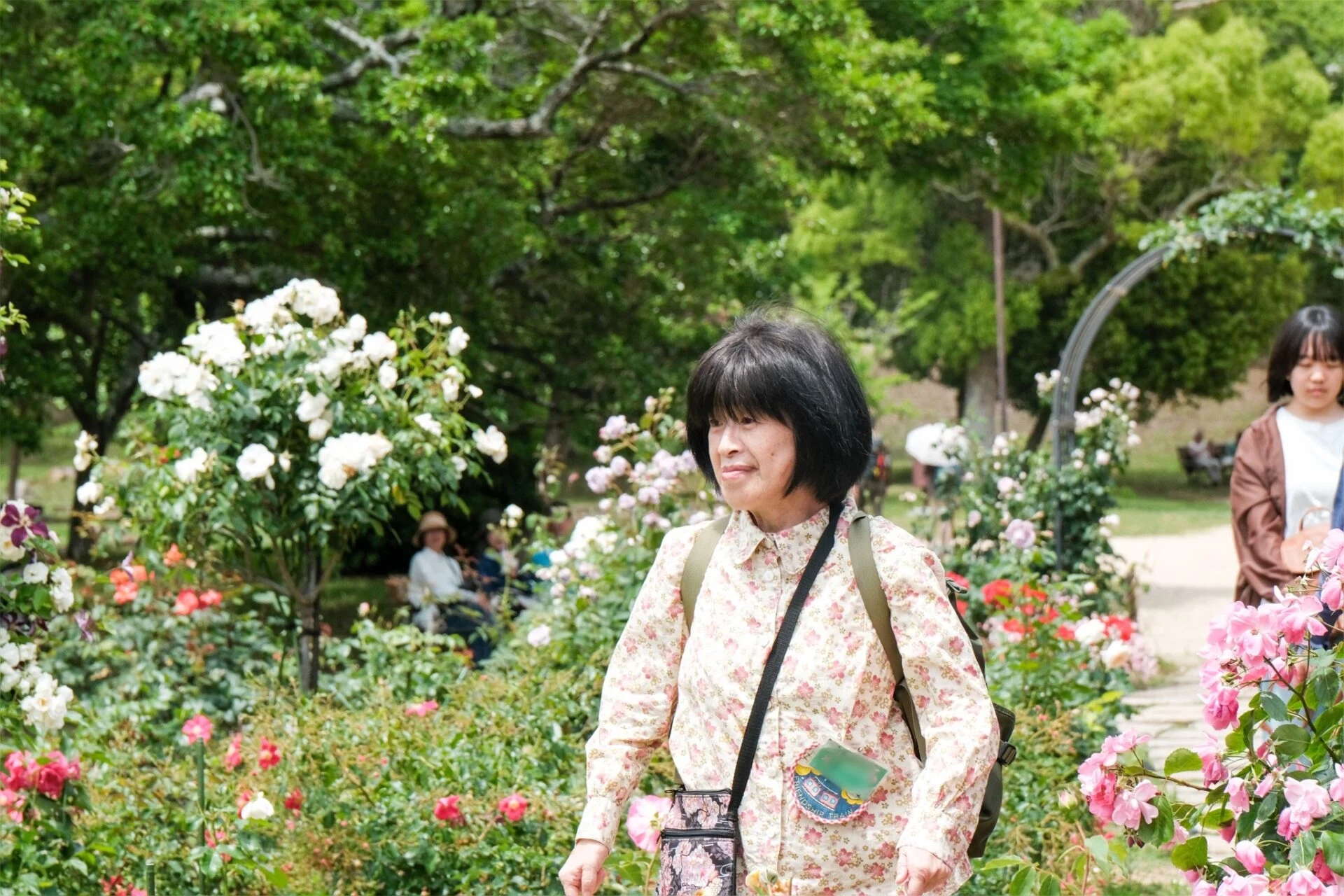 兵庫県立明石公園のバラ園