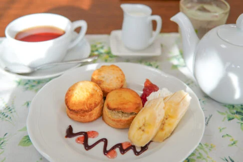 TEA ROOM UP FIELDアイキャッチ