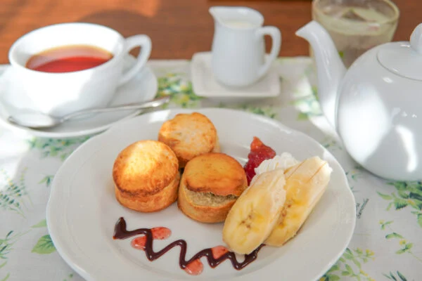 TEA ROOM UP FIELDアイキャッチ