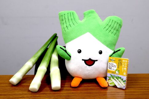里庄町のまこもたけ 見た目は白ネギ、名前はたけのこ?アク抜きいらずで食べられる、里庄町の秋のおいしい特産品