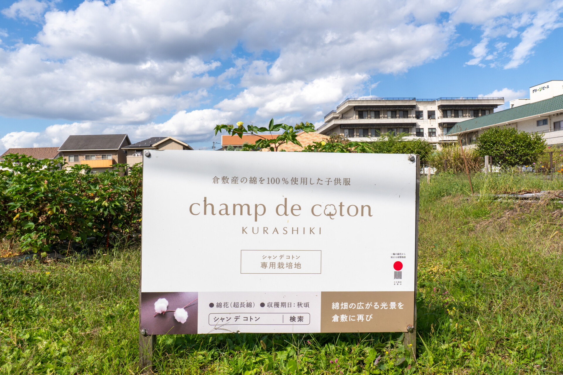 シャン デ コトン 倉敷